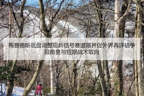 梅赛德斯底盘调整现新信号赛道限界促外界再评估争冠前景与短期战术取向